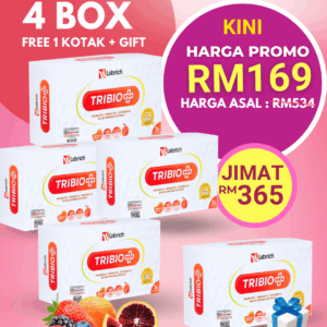 Set 4 Kotak + Percuma 1 Kotak + 1 Freegift
