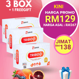 Set 3 Kotak + 1 Freegift