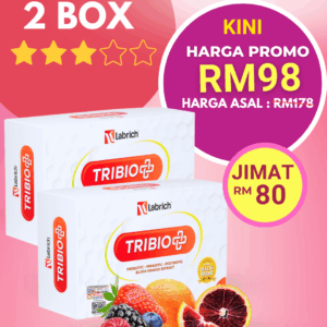 Set 2 Kotak