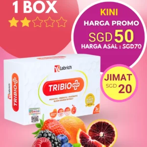 Set 1 Kotak