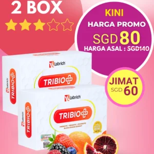Set 2 Kotak