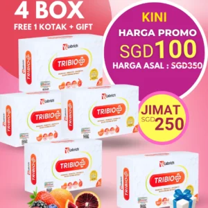 Set 4 Box + Percuma 1 Box + 1 Freegift